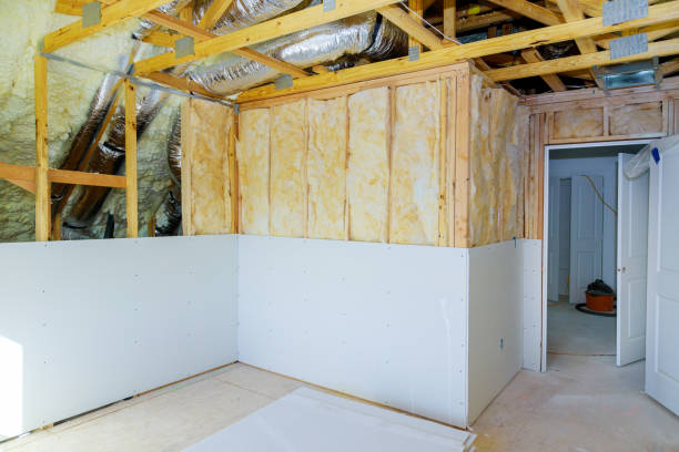 Best Blown-in Insulation  in Siesta Acres, TX