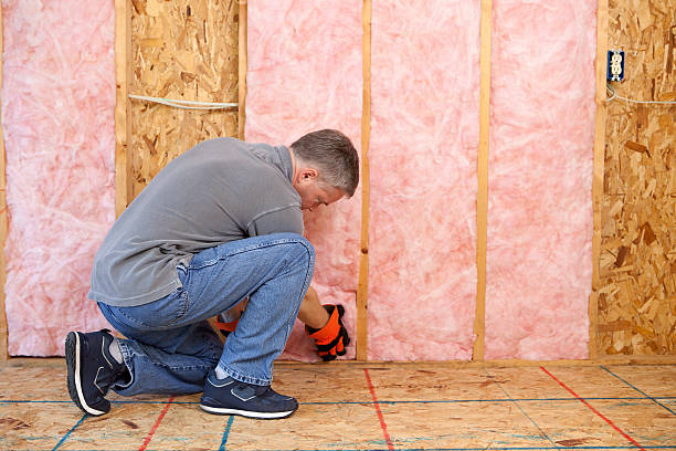 Best Insulation for New Construction  in Siesta Acres, TX
