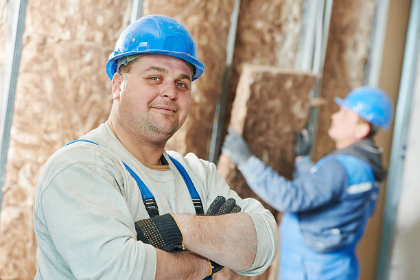 Best Local Insulation Services  in Siesta Acres, TX