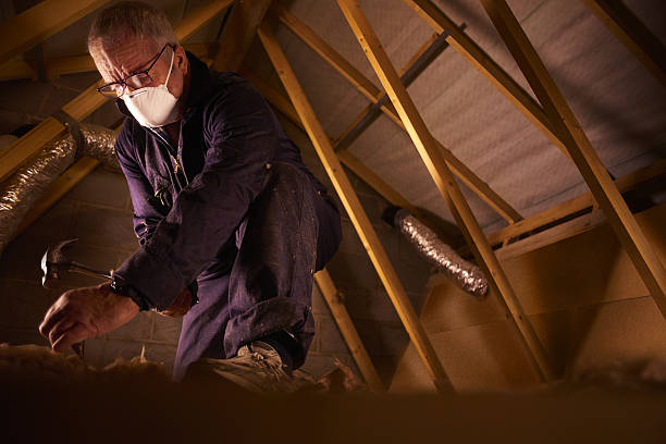 Insulation Replacement Services in Siesta Acres, TX