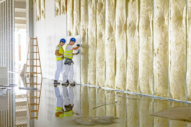 Soundproof Insulation Installation in Siesta Acres, TX